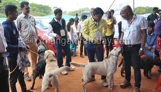 Dog show in Mangalore